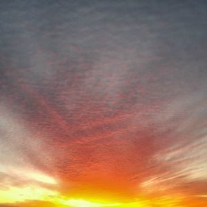 Meet your Posher, Darron